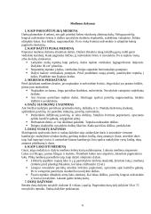 Dažymo praktikos ataskaita 6 puslapis