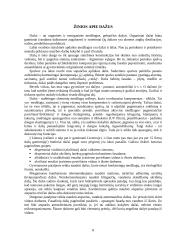 Dažymo praktikos ataskaita 8 puslapis