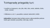 Kirtis ir priegaidės skaidrės 12 puslapis