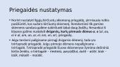 Kirtis ir priegaidės skaidrės 8 puslapis