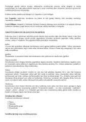 Sociologija - tai mokslas apie visuomenę ir žmonių socialinę veiklą 11 puslapis