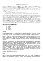 Sociologija - tai mokslas apie visuomenę ir žmonių socialinę veiklą 3 puslapis