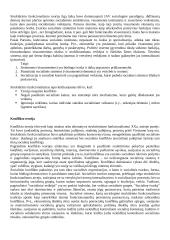 Sociologija - tai mokslas apie visuomenę ir žmonių socialinę veiklą 8 puslapis