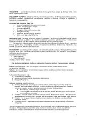 Sociologija kaip mokslas - teorija 7 puslapis