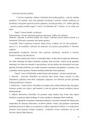 Sociologinis dienoraštis 8 puslapis