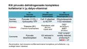Vitaminai: jų biologinė reikšmė, avitaminozės 20 puslapis