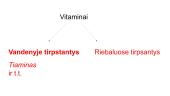 Vitaminai: jų biologinė reikšmė, avitaminozės 10 puslapis