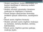 Chemijos kartojimas: azotas ir fosforas 3 puslapis
