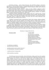 Sprendimų priėmimo teorija 2 puslapis