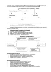 Sprendimų priėmimo teorija 11 puslapis