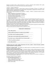 Sprendimų priėmimo teorija 13 puslapis