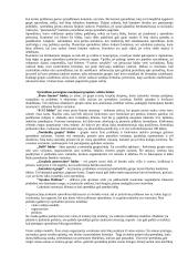 Sprendimų priėmimo teorija 6 puslapis