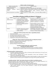 Sprendimų priėmimo teorija 8 puslapis