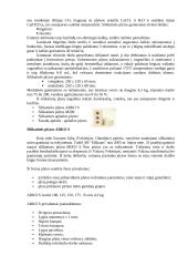 Statybinės medžiagos ir jų tipai 4 puslapis