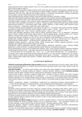 Statybiniai skiediniai - medžiaga atsiskaitymams 6 puslapis