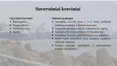 UAB „Vakarų krova“ kompanijos logistikos sistemos schemos pristatymas 6 puslapis