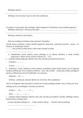 Modelių naudojimas vaizduojant medžiagas ir jų kitimus 2 puslapis