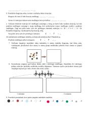 Modelių naudojimas vaizduojant medžiagas ir jų kitimus 3 puslapis