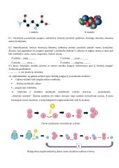 Modelių naudojimas vaizduojant medžiagas ir jų kitimus 4 puslapis