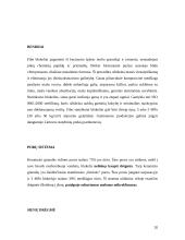 Statybinių medžiagų fizikines savybės 20 puslapis