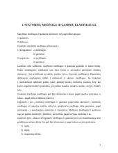 Statybinių medžiagų fizikines savybės 3 puslapis