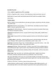 Kaltės ir atgailos tema XX a. poezijoje (kalbėjimas su planu) 3 puslapis