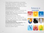 Žmonijos poveikis aplinkai (pristatymas) 10 puslapis
