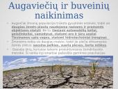 Žmonijos poveikis aplinkai (pristatymas) 9 puslapis
