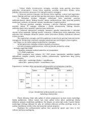 Strateginio planavimo pagrindai 11 puslapis