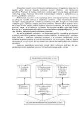 Strateginio planavimo pagrindai 16 puslapis