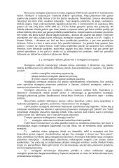 Strateginio planavimo pagrindai 4 puslapis