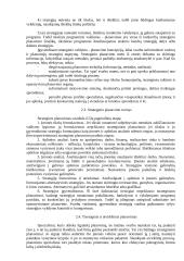 Strateginio planavimo pagrindai 5 puslapis