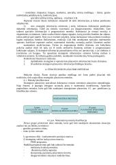 Strateginio planavimo pagrindai 7 puslapis