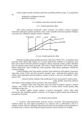 Strateginio planavimo pagrindai 8 puslapis