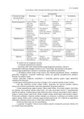 Strateginio planavimo pagrindai 9 puslapis