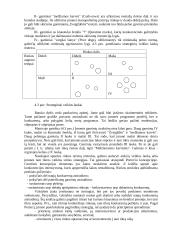 Strateginio planavimo pagrindai 10 puslapis
