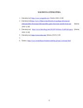 Elektromobiliai: pliusai ir minusai 11 puslapis