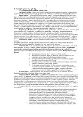 Viskas apie strateginį planavimą 2 puslapis