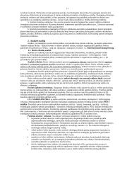 Viskas apie strateginį planavimą 11 puslapis