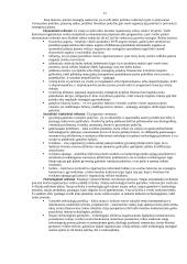 Viskas apie strateginį planavimą 12 puslapis