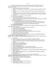 Viskas apie strateginį planavimą 13 puslapis