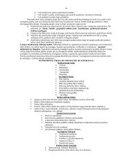 Viskas apie strateginį planavimą 16 puslapis