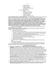 Viskas apie strateginį planavimą 17 puslapis