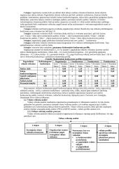 Viskas apie strateginį planavimą 19 puslapis