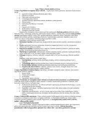 Viskas apie strateginį planavimą 20 puslapis