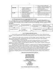 Viskas apie strateginį planavimą 5 puslapis