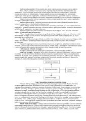 Viskas apie strateginį planavimą 6 puslapis