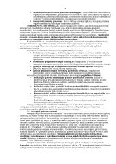 Viskas apie strateginį planavimą 8 puslapis