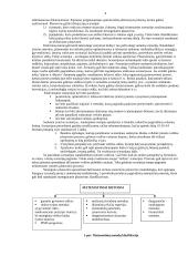 Viskas apie strateginį planavimą 9 puslapis