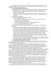 Viskas apie strateginį planavimą 10 puslapis